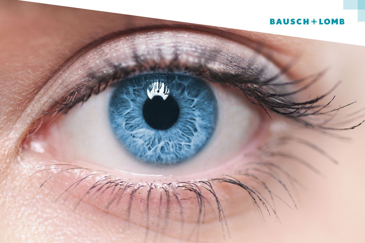 Ludzkie oko na zbliżeniu